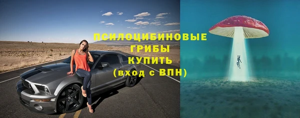 МДПВ Вязьма