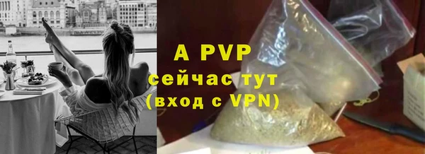марки nbome Вяземский