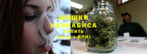 марки nbome Вяземский
