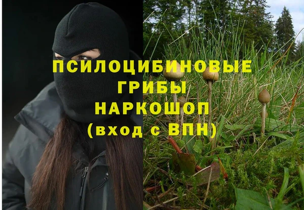 МДПВ Вязьма