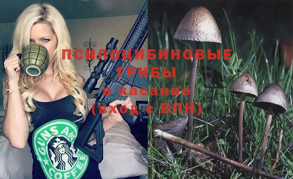 марки nbome Вяземский
