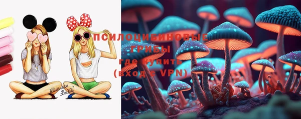 МДПВ Вязьма
